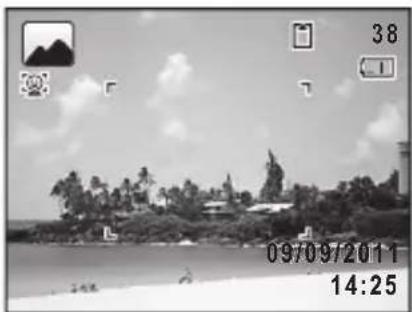 RICOH RZ18 - Press the OK button. - 1