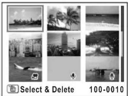 Select & Delete 100-0010