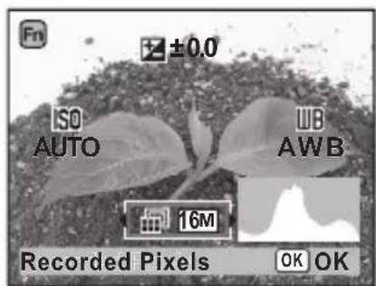 ISO AUTO WB AWB 16M Recorded Pixels OK OK