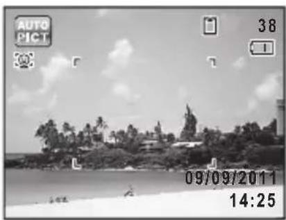 RICOH RZ18 - Taking Pictures Automatically (Auto Picture Mode) - 2