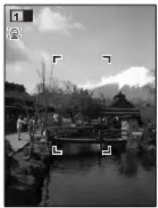RICOH RZ18 - Press the OK button. - 1