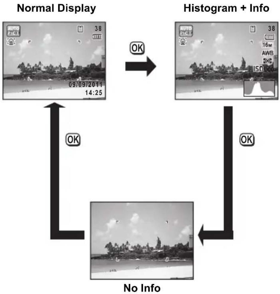 RICOH RZ18 - Display in Mode - 1