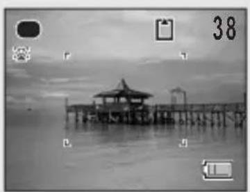 RICOH RZ18 - Display in Mode - 3