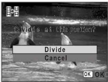 Divide at this position? Divide Cancel OK OK