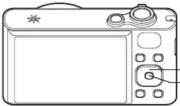RICOH RZ18 - Selecting the Flash Mode - 6