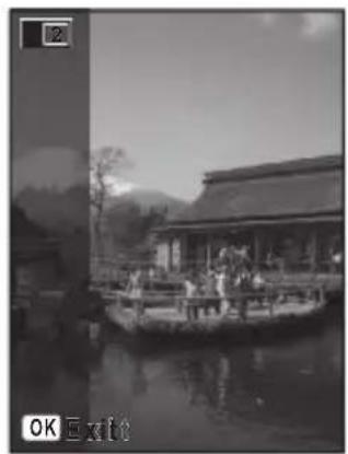 RICOH RZ18 - Press the shutter release button fully. - 1