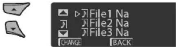 File1 Na File2 Na File3 Na CHANGE BACK