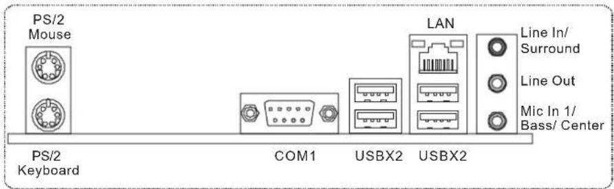 BIOSTAR A770L3 - REAR PANEL CONNECTORS - 1
