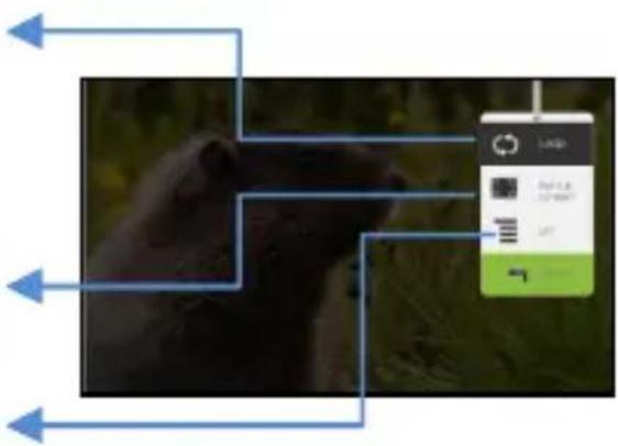 Mobile app interface screenshot showing bird image with directional arrows and a 'Loop' button