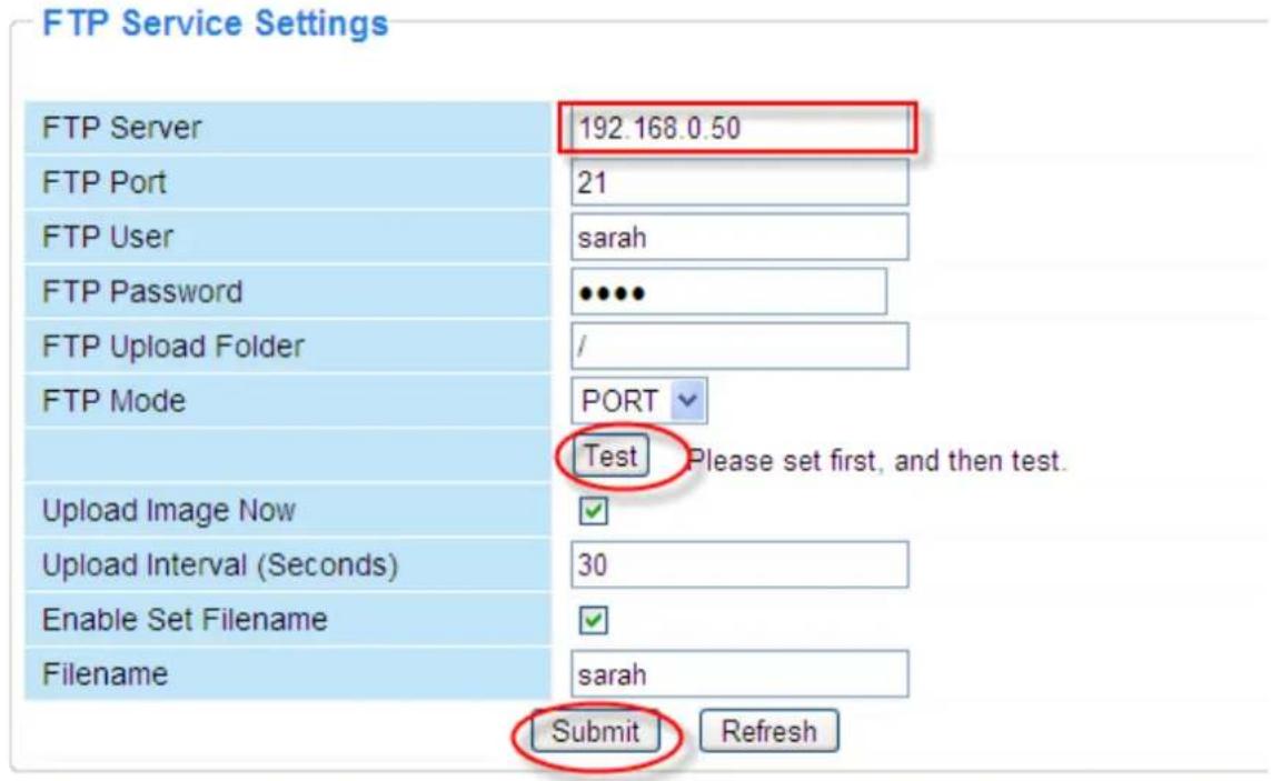 FOSCAM FI8916W-W - FTP Service Settings - 1