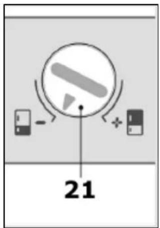 21