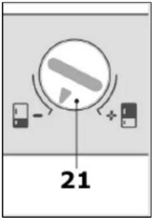 21