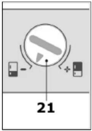 21