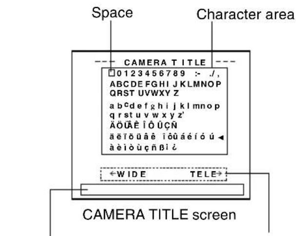Space Character area CAMERA TITLE □0123456789 : - ./, ABCDEFGHIJKLMNOPQRSTUVWXYZ a b c d e f g h i j k l m n o p q r s t u v w x y z' ÄÖÜÄÈ ÍÔ ÜÇÑ ä eiõ üaè iõû aéíó ú à eiò ùç ñßi ¿ ←WIDE TELE→ CAMERA TITLE screen