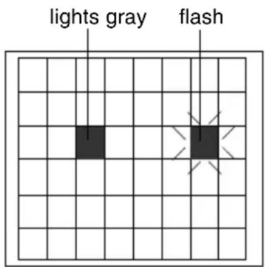 lights gray flash