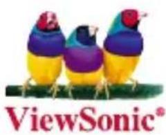 VIEWSONIC VS13783 - Pocket Camcorder Projector - 1