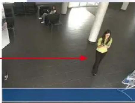 Mobotix MX-D25M-SEC-D76 - Example: - 3
