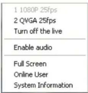 1 1080P 25fps 2 QVGA 25fps Turn off the live Enable audio Full Screen Online User System Information