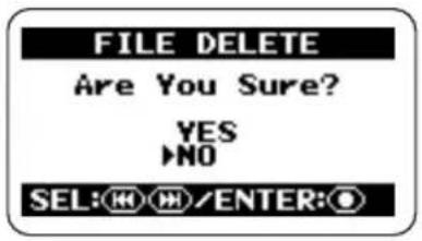 SAMSON ZH2 - Bring up the FILE DELETE screen. - 1
