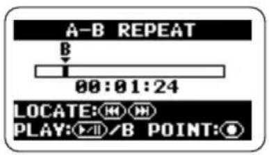 SAMSON ZH2 - Specify point A. - 1