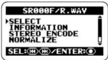 SAMSON ZH2 - Select the file pair for conversion to a stereo WAV file. - 1