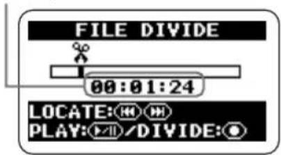 SAMSON ZH2 - Bring up the FILE DIVIDE screen. - 1