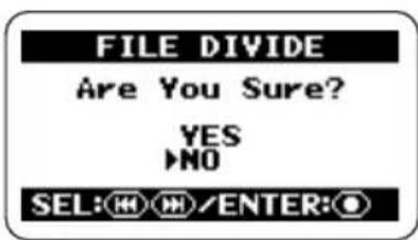 SAMSON ZH2 - Perform the file division process. - 1