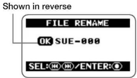 SAMSON ZH2 - When the file name is as you want it, confirm the change. - 1