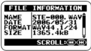 SAMSON ZH2 - Bring up the FILE INFORMATION screen. - 1