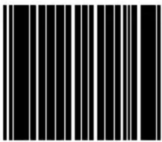 Black and white barcode image with vertical lines on both sides