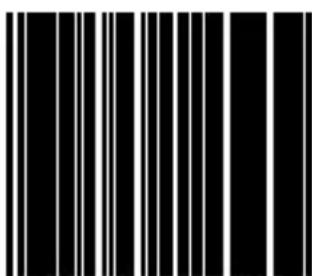 Black and white barcode image with vertical lines on both sides