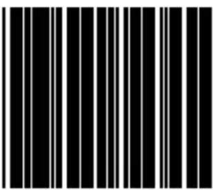 Black and white barcode image with vertical lines on both sides