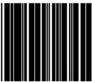 Black and white barcode image with vertical lines on both sides