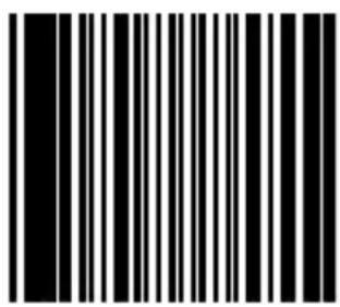 Black and white barcode image with vertical lines on both sides