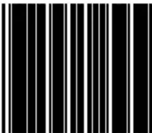 Black and white barcode image with vertical lines on both sides