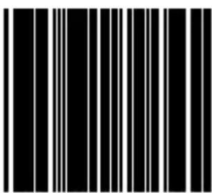 Black and white barcode image with vertical lines on both sides
