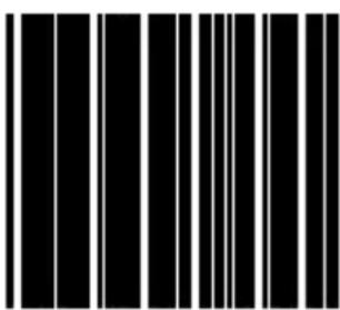 Black and white barcode image with vertical lines on both sides