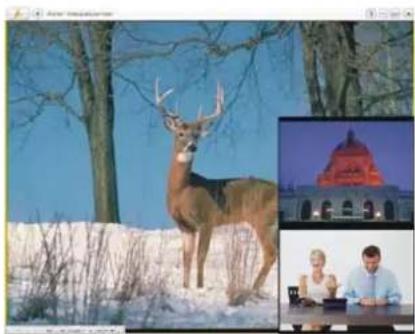 AVERMEDIA A706R - Multi-Program Display (Only Available for Digital TV) - 3