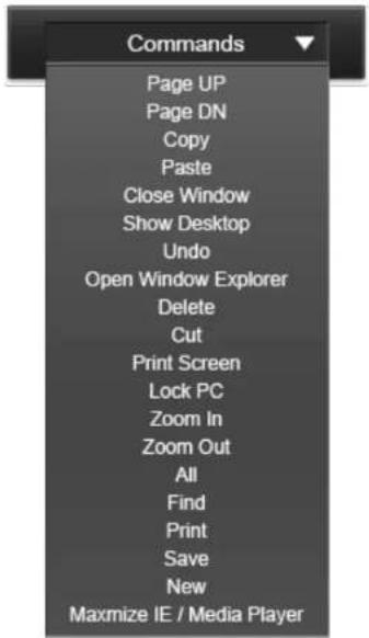 Commands Page UP Page DN Copy Paste Close Window Show Desktop Undo Open Window Explorer Delete Cut Print Screen Lock PC Zoom In Zoom Out All Find Print Save New Maxmize IE / Media Player