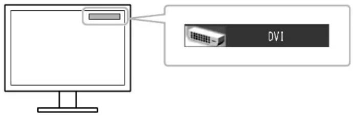 DVI