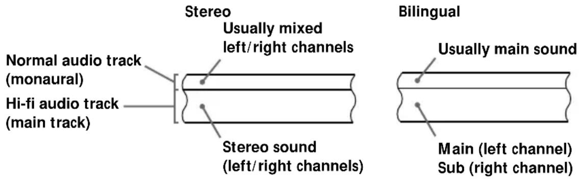 Stereo Usually mixed left/right channels Normal audio track (monaural) Hi-fi audio track (main track) Stereo sound (left/right channels) Bilingual Usually main sound Main (left channel) Sub (right channel)