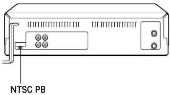NTSC PB