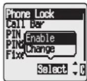 PANASONIC EB-GD76 - Locking the Phone - 4