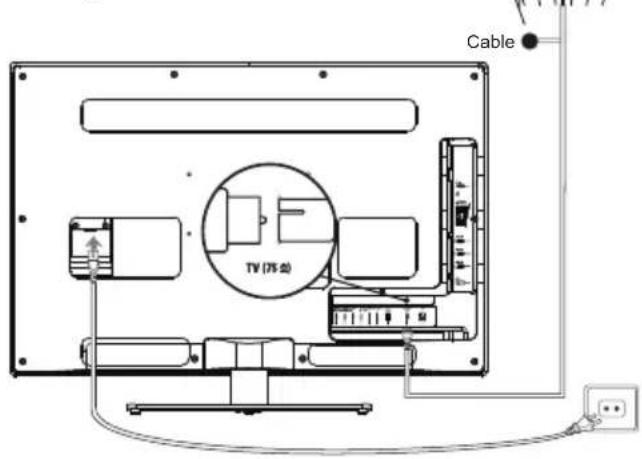 Cable TV (75Ω)
