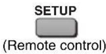 PANASONIC DVD-LS53 - Changing the player settings - 1