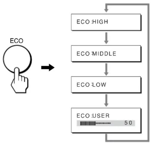graph TD A["ECO"] --> B["ECO HIGH"] B --> C["ECO MIDDLE"] C --> D["ECO LOW"] D --> E["ECO USER 50"]