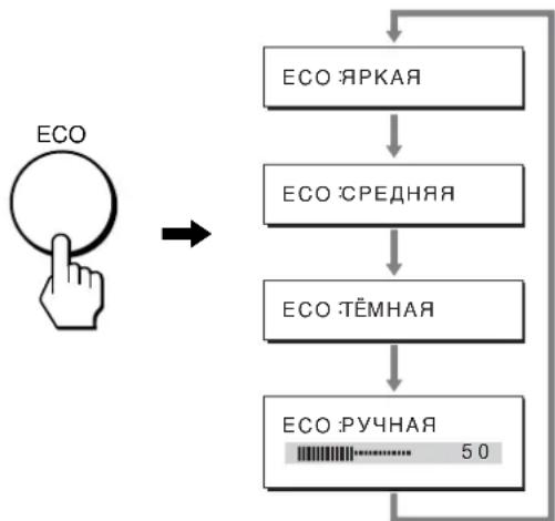 graph TD A["ECO"] --> B["ECO ЯРКАЯ"] B --> C["ECO СРЕДНЯЯ"] C --> D["ECO ТЁМНАЯ"] D --> E["ECO РУЧНАЯ 50"]
