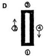 SINGER 1309 - Making a Buttonhole on Stretch Fabrics (E) - 3