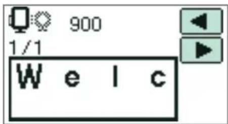 900 1/1 W e l c
