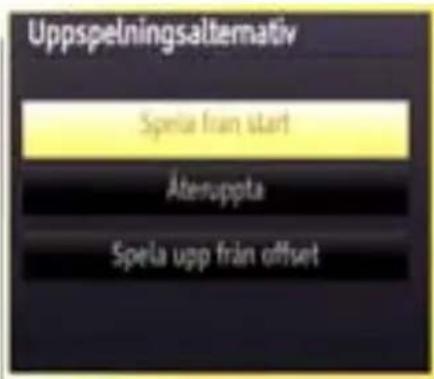 Uppspelningsalternativ Spela från start Äteruppota Spela upp från offset